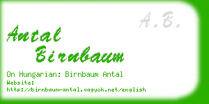 antal birnbaum business card